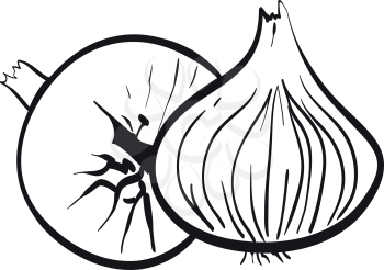 Illustration of the contour of two onions on a white background