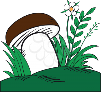 Illustration of large white mushroom among the grass in the clearing 