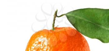 Tangerine with leaf close up isolated on white background
