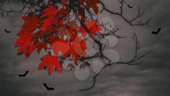 Bloody leaves and bats against the backdrop of a gloomy evening sky