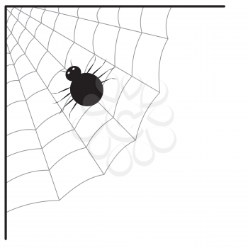 Illustration of spider web and spider isolated on white background