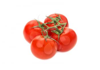 Sprig of ripe tomatoes isolated on white background
