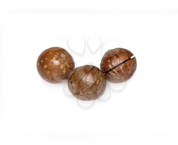 Three Macadami Nuts isolated on white background