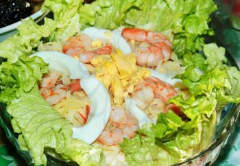 Shrimp salad with boiled egg garnished with lettuce