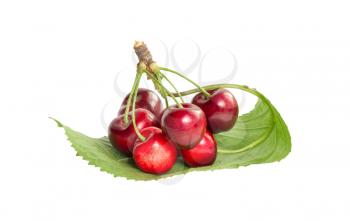 Bunch of ripe cherries on a green leaf isolated on white background