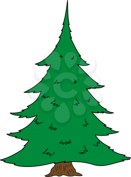 Illustration of big green spruce isolated on white background