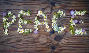 Inscription peace made of flowers and leaves on vintage wooden table background. Word peace made of flowers.Top view.