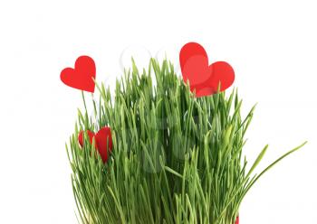 Red paper hearts in green grass isolated on a white background.