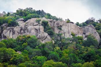 Rocks with huge boulders and thickets of green trees and thick foliage. Rocks with boulders and bushes.
