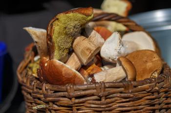 Closeup of a basket of mushrooms. Shallow depth of field. Selective focus.