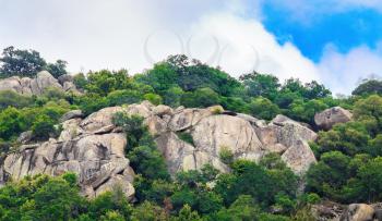 Close-up of rocks with huge boulders and thickets of green trees and thick foliage. Rocks with boulders and bushes.