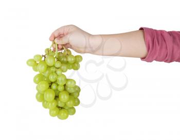 Child's hand holding a bunch of green grapes. Isolated with clipping path.