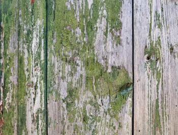 Old wood texture. Wooden background with peeling paint.