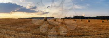Straw bales in the sunset. Panoramic shot.