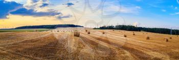 Hay bales on field. Autumn field with hay bales after harvest. Rural landscape with haystacks against the backdrop of a beautiful sunset sky. Panorama shot.