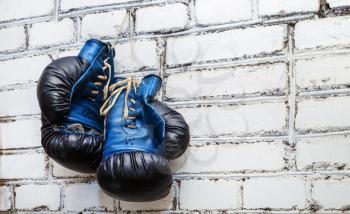 A pair of old blue and black boxing gloves hanging on white brick wall background.