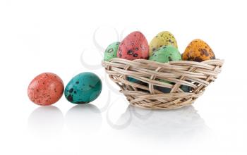 Painted quail eggs in a wicker basket isolated on white background.