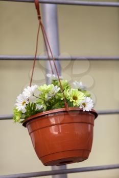 Artificial flowers in a plastic brown pot. Shallow depth of field.