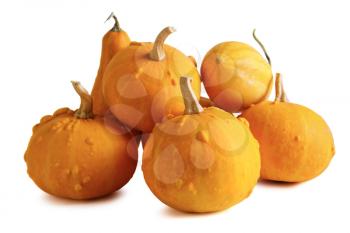 Pumpkins on white background. Shallow depth of field.