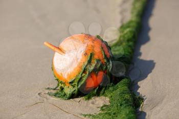 An orange plastic beach float buoy in the mud in the sand. Shallow depth of field. Selective focus.