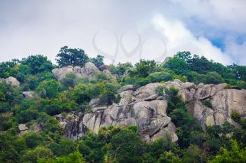 Rocks and boulders with thickets of green trees and dense foliage.