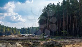 Scenic forest landscape. Sandy quarry on the background of pine forest and cloudy sky.