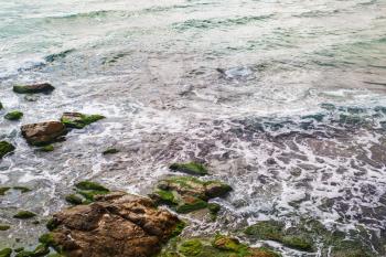 Sea surf and rocks covered with algae. Closeup of coastline.