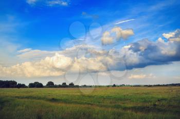 Sunny summer rural landscape. Blue sky with cumulus clouds and a field of green grass..