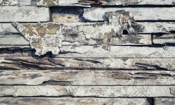 Old weathered wooden planks as background. Wood texture.