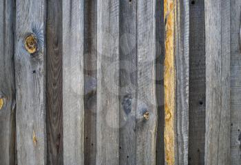 Old wood texture. Weathered wooden planks background.