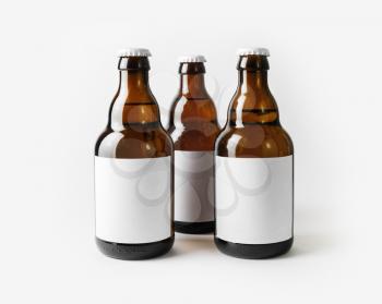 Three beer bottles with blank labels. Template for placing your design.