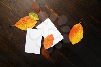 Blank white business cards and bright autumn leaves on wooden background. Flat lay.