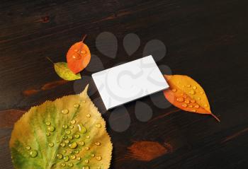 Photo of blank white paper business card and autumn leaves on wooden background. Mock-up for branding ID.