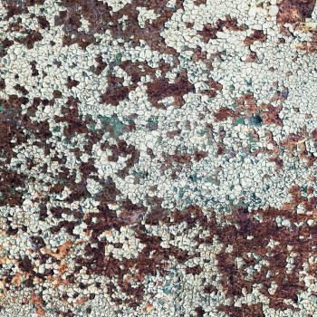 Rusty metal texture with peeling paint. Vintage background with cracks and rust spots.