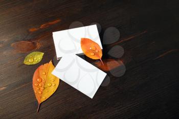 Blank paper business cards and autumn leaves on wooden background. Template for placing your design. Copy space for text.