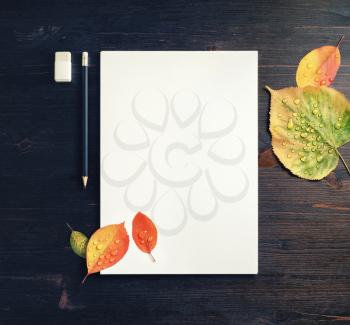 Blank white sheet of paper, pencil, eraser and autumn leaves on wood table background. Flat lay.