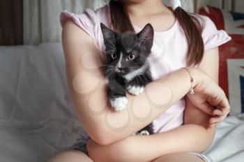 Black and white spotted kitten sits in the arms of a girl.