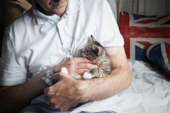 Cute tabby kitten in male hands. Cat is in the man's arms.