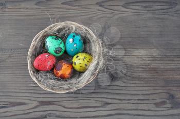 Colored Easter eggs and nest on wooden table background. Painted quail eggs.