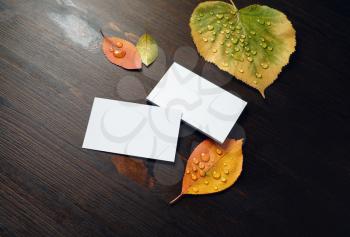 Blank business cards and autumn leaves on wood table background. Mockup for branding identity.
