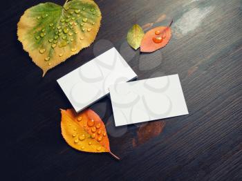 Photo of blank white business cards and leaves on wooden background.