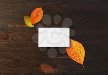 Photo of blank business card and bright autumn leaves on wood table background. Template for branding identity. Mockup for ID. Flat lay.