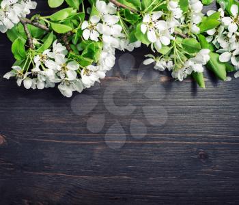 Vintage wooden background with spring flowers. Lot of copy space for your text. Top view. Flat lay.
