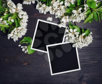 Two blank square photo frames with spring flowers on wooden background. Top view. Flat lay.