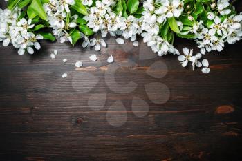 Wood table background with spring flowers. Copy space for your text. Flat lay.