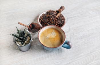 Delicious fresh coffee. Coffee cup, roasted coffee beans, plant and ground powder on light wooden background.