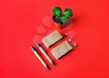 Blank kraft stationery set on red paper background. Business cards, pens and plant. Template for branding identity.