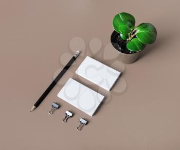 Blank stationery set. White paper business cards, pencil and plant.
