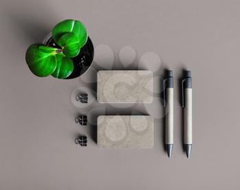 Corporate identity template. Branding design mockup. Business cards, pens and plant. Blank stationery set. Flat lay.