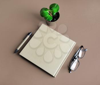 Blank kraft brochure, glasses, pen and plant. Template for branding design.